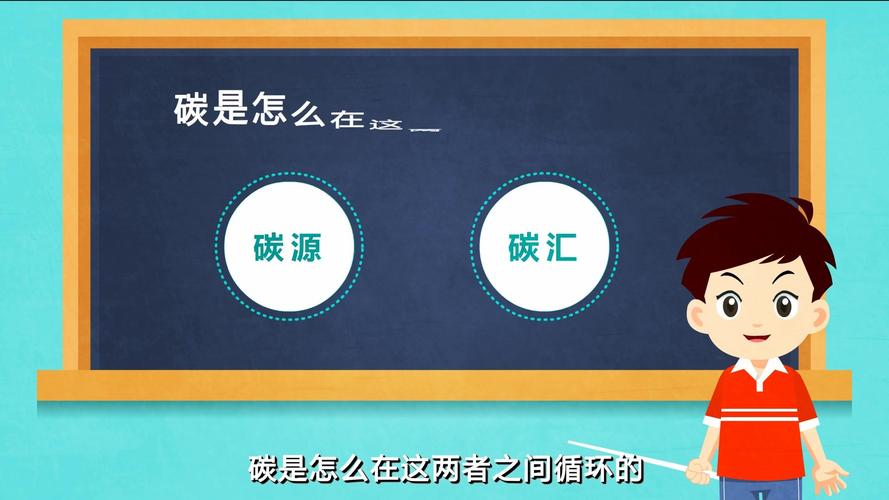 碳源的作用（什么是復(fù)合碳源）