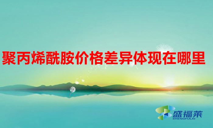 聚丙烯酰胺價格差異體現(xiàn)在哪里