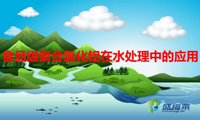 食品級聚合氯化鋁在水處理中的應(yīng)用與優(yōu)勢