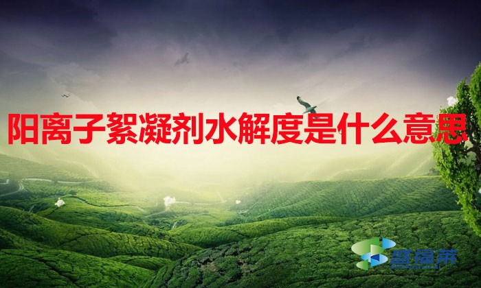 陽離子絮凝劑水解度是什么意思（陽離子絮凝劑水解度是多少）