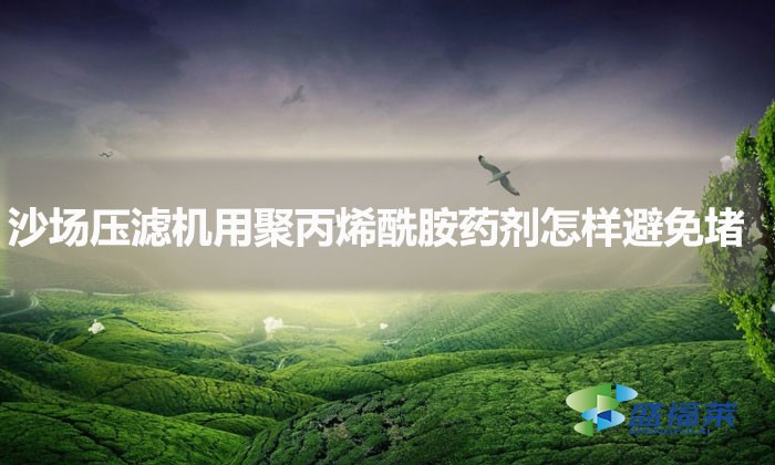 沙場壓濾機(jī)用聚丙烯酰胺藥劑怎樣避免堵?（聚丙烯酰胺避免堵塞的方法）