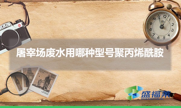 屠宰場(chǎng)廢水用哪種型號(hào)聚丙烯酰胺