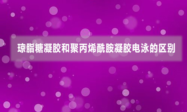 瓊脂糖凝膠和聚丙烯酰胺凝膠電泳的區(qū)別
