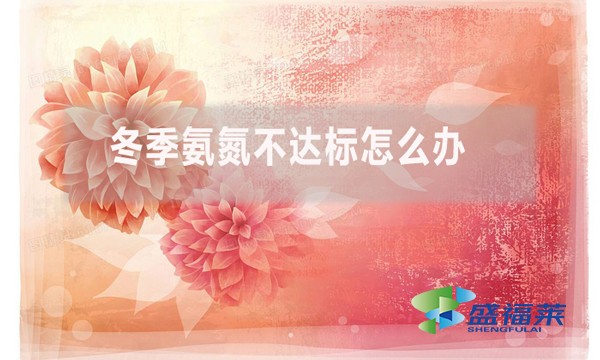 冬季氨氮不達(dá)標(biāo)怎么辦？