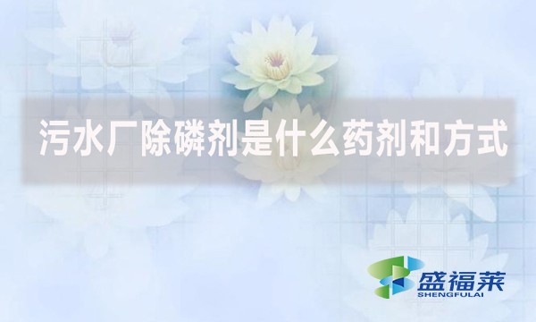污水廠除磷劑是什么藥劑和方式？