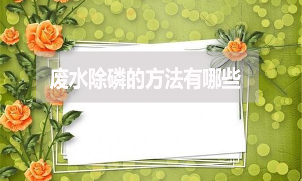 廢水除磷的方法有哪些？