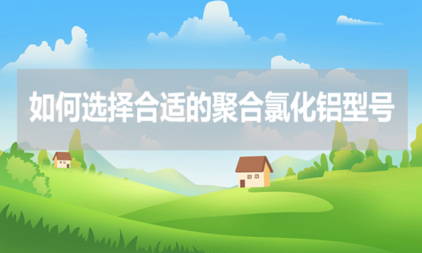 如何選擇合適的聚合氯化鋁型號？