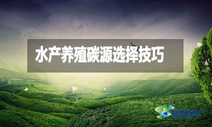 水產(chǎn)養(yǎng)殖碳源選擇技巧：提升效益與可持續(xù)性的關(guān)鍵