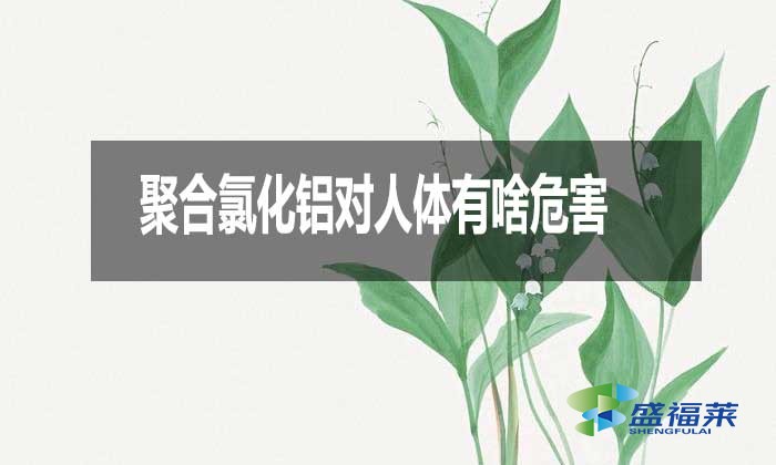 聚合氯化鋁對人體有啥危害？