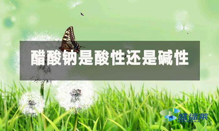 醋酸鈉是酸性還是堿性？